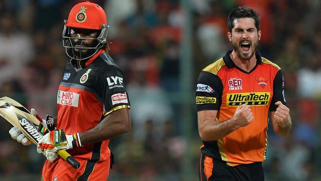 Ben Cutting IPL 2016 SRH RCB