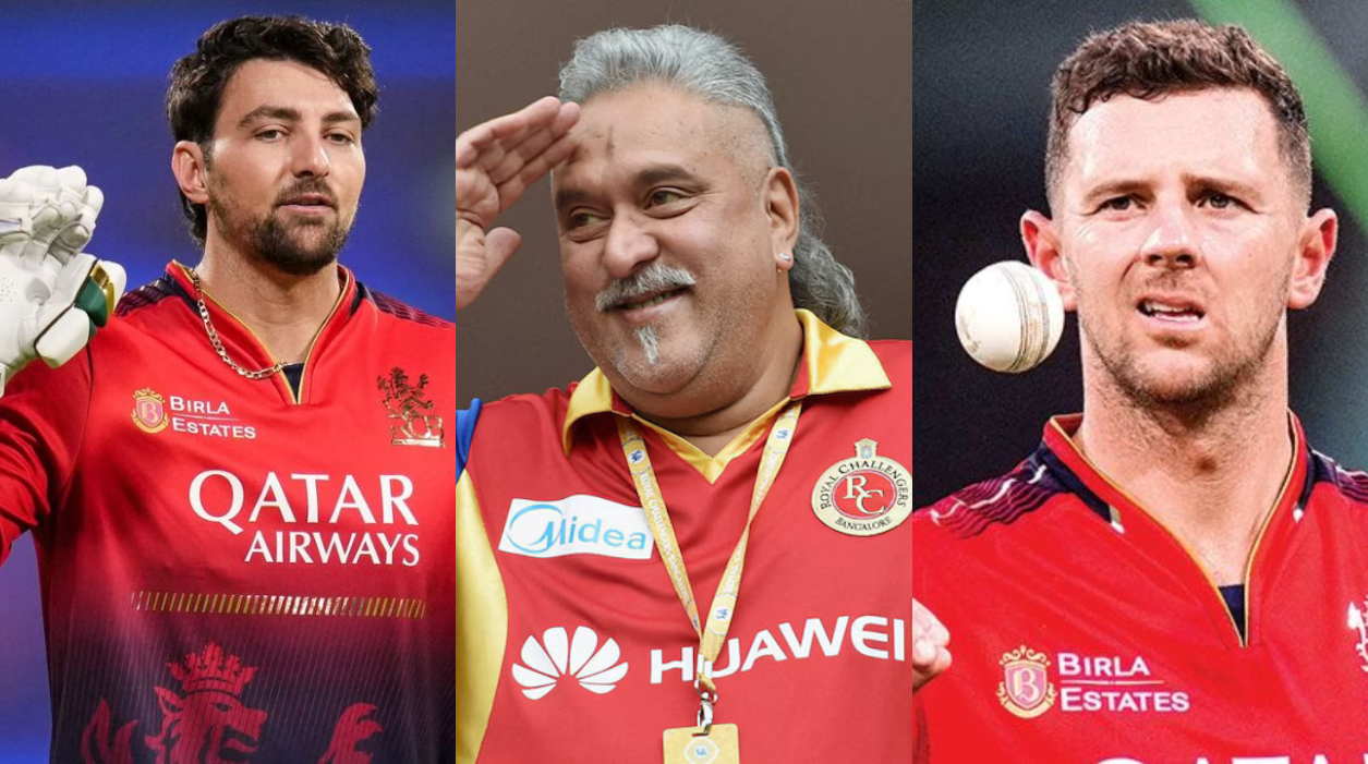 Vijay Mallya Tim David Josh Hazlewood