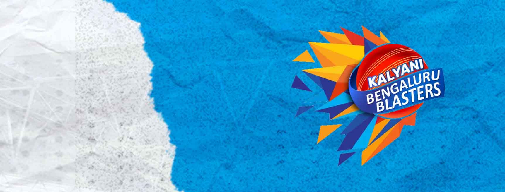 Bengaluru Blasters Cricket Team