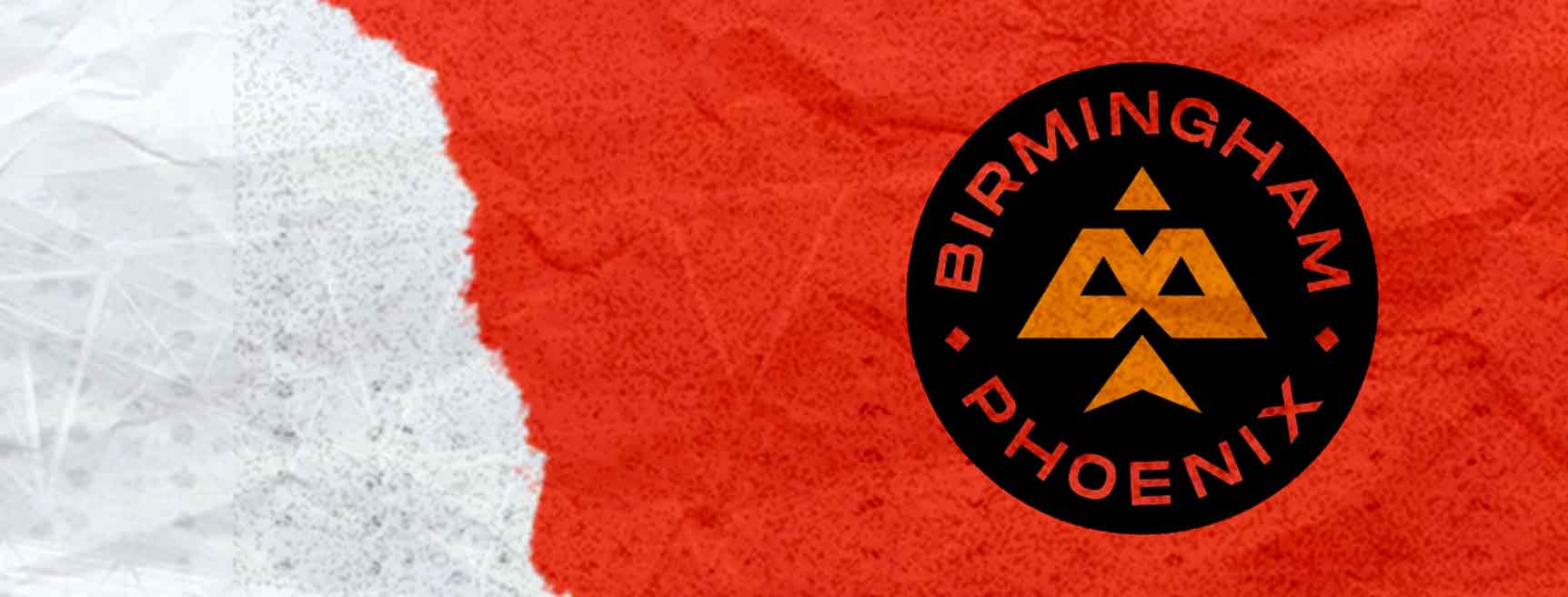 Birmingham Phoenix Cricket Team