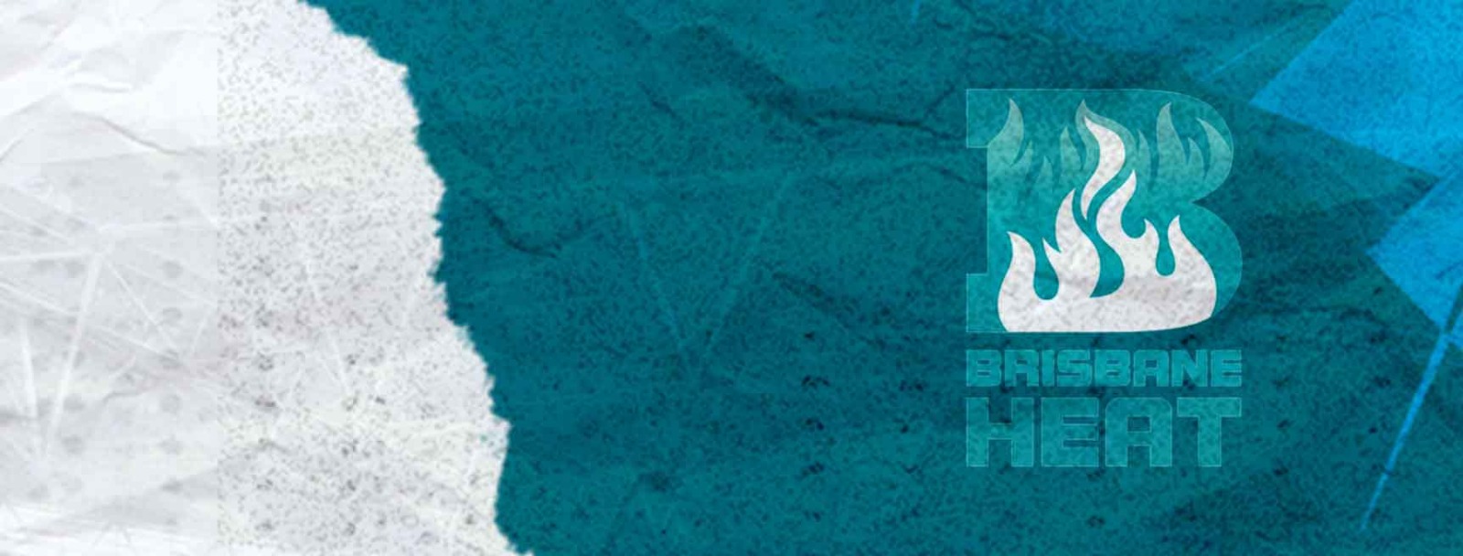 Brisbane Heat Cricket Team