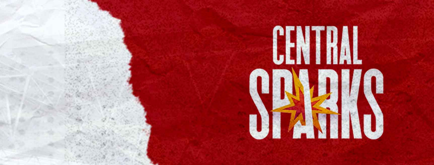 Central Sparks cricket team