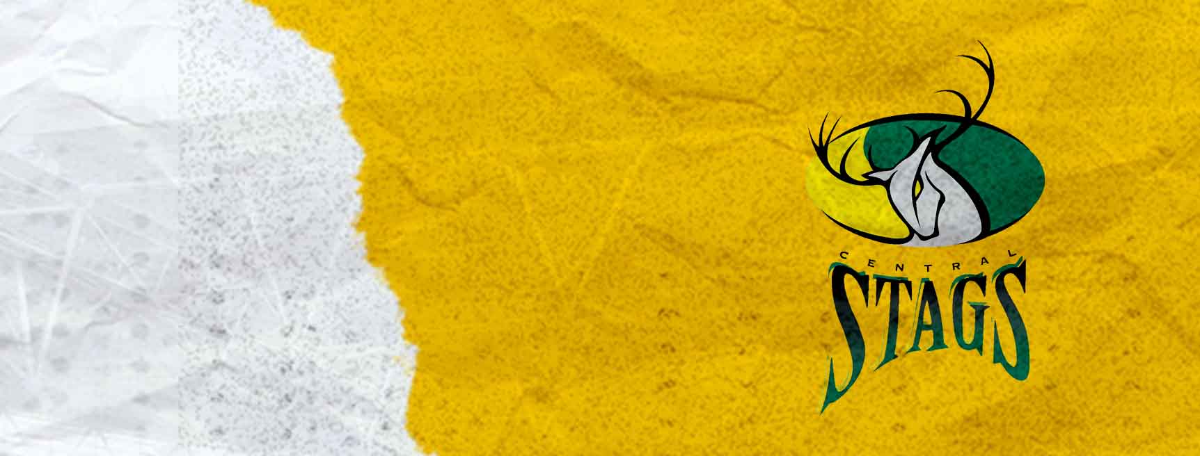 Central Stags cricket team
