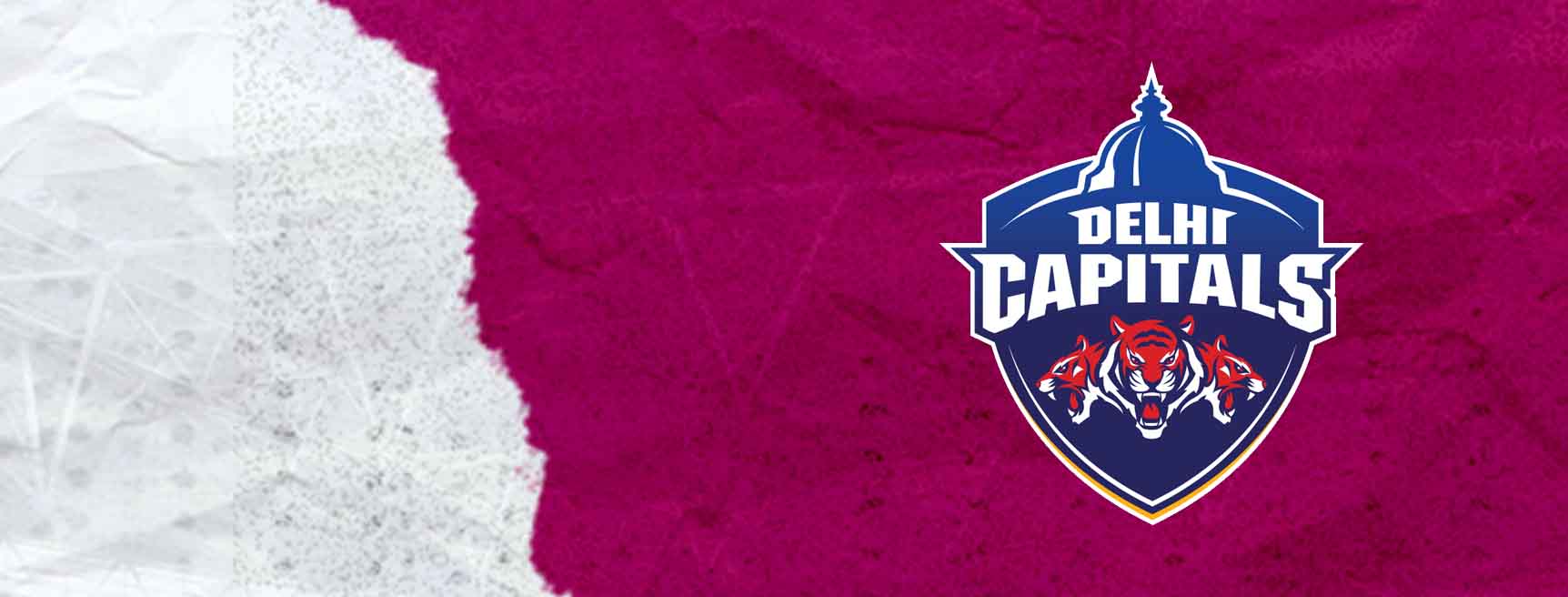 Delhi Capitals Cricket Team