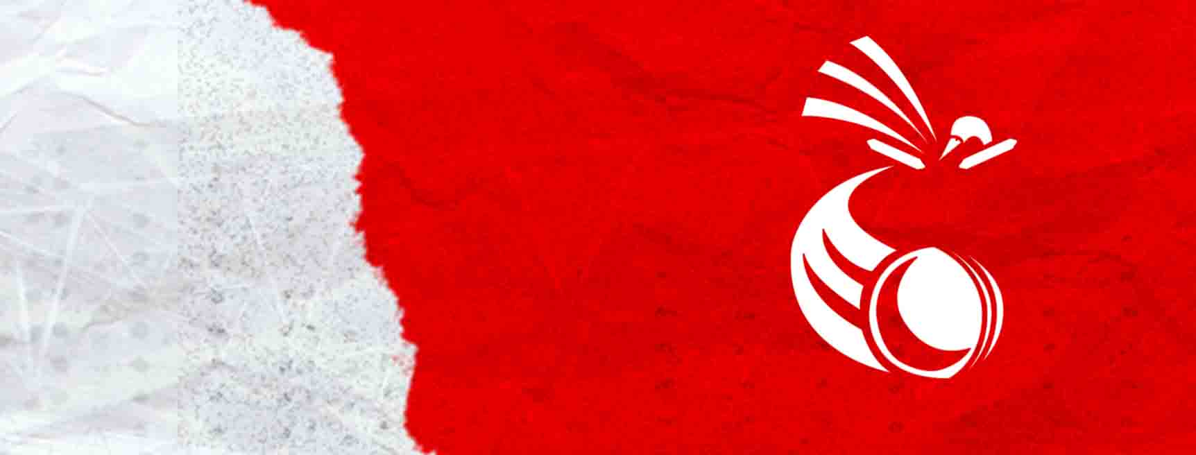 Papua New Guinea National Cricket Team