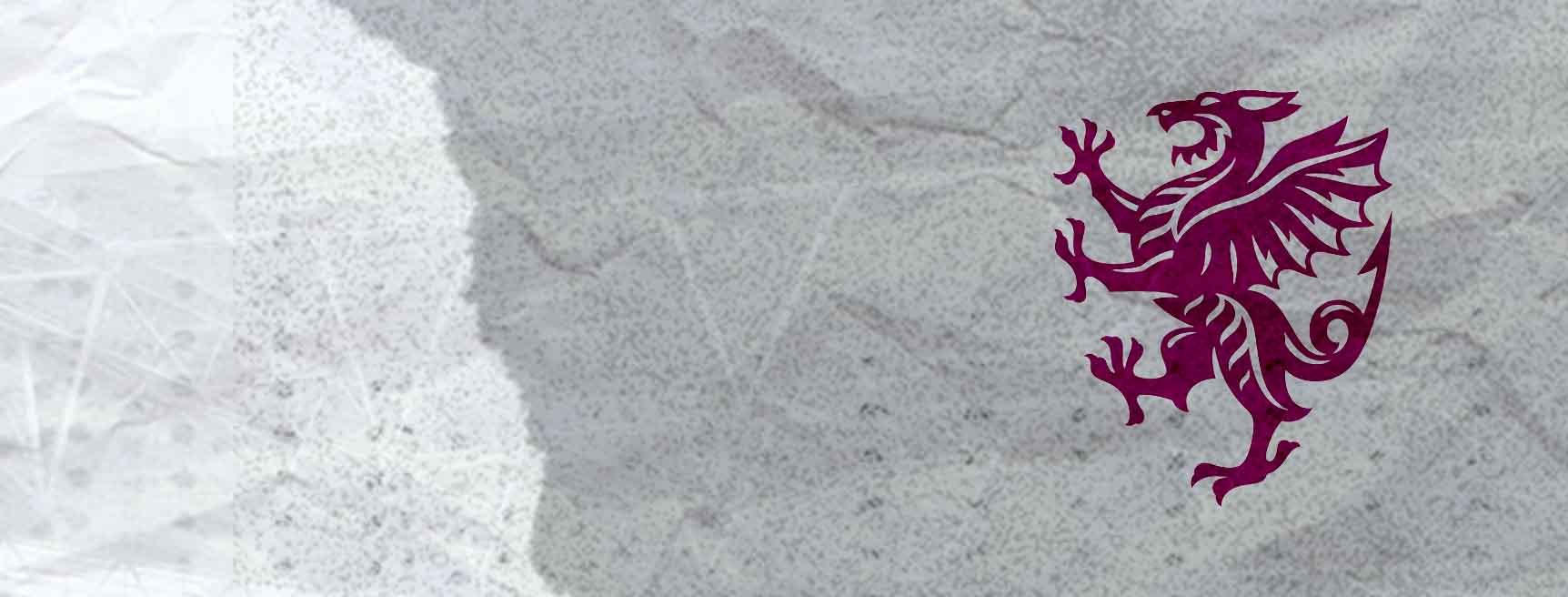 Somerset Cricket Team